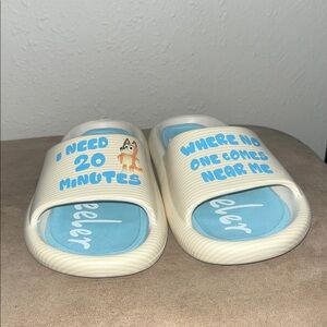 Bluey Slides